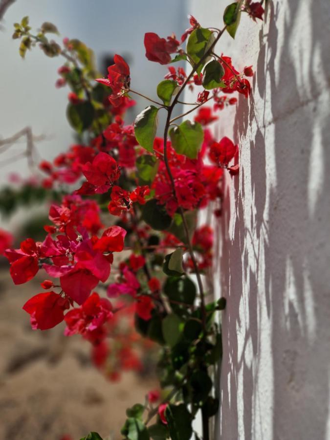 Casa Vivi Fuerteventura Appartement Corralejo Buitenkant foto